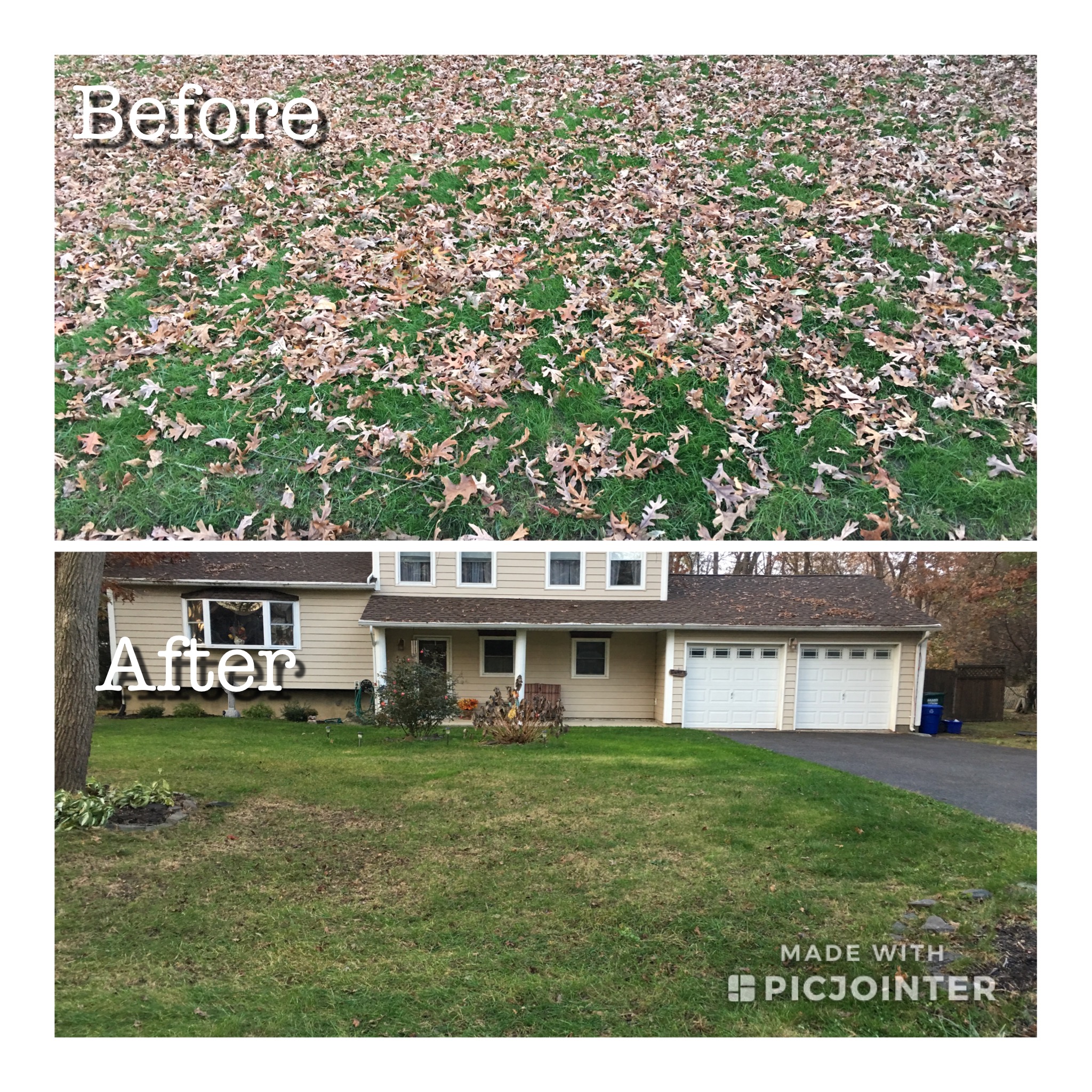 fall cleanup before after