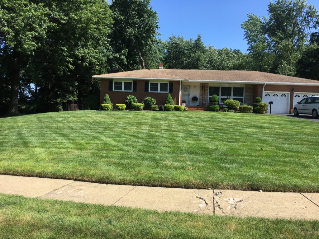 lawn_care_front_yard_2