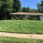 lawn_care_front_yard_2
