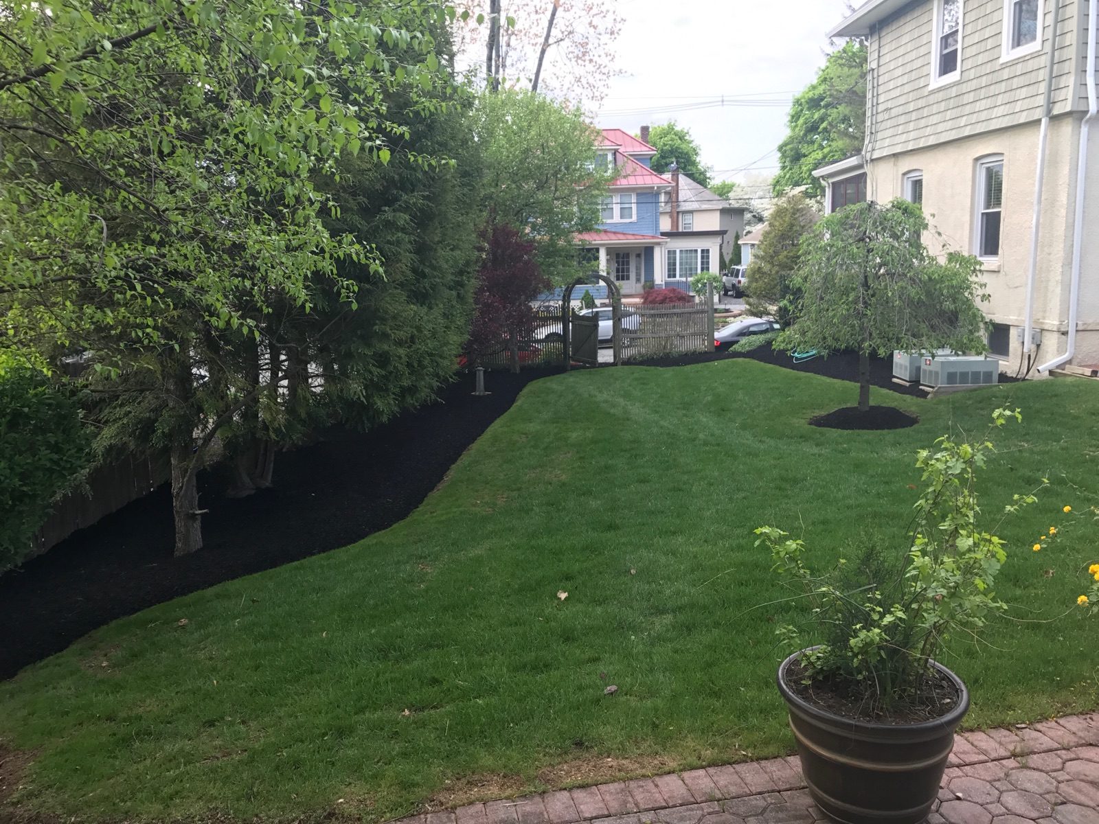 lawn_care_residential_yard