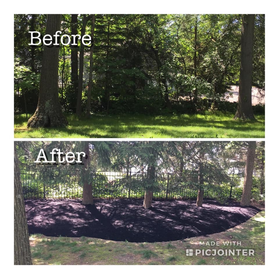 mulching before after 1