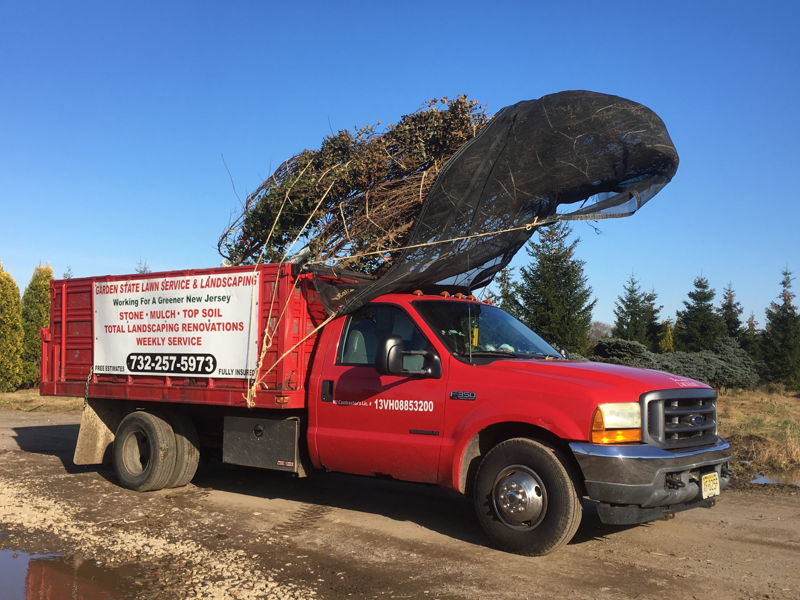 South River Shade Tree Commission – G.S. Lawn Svc & Landscaping, LLC