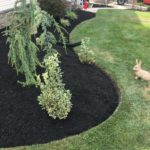 gs lawn mulching rabbit