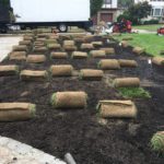 sod during process