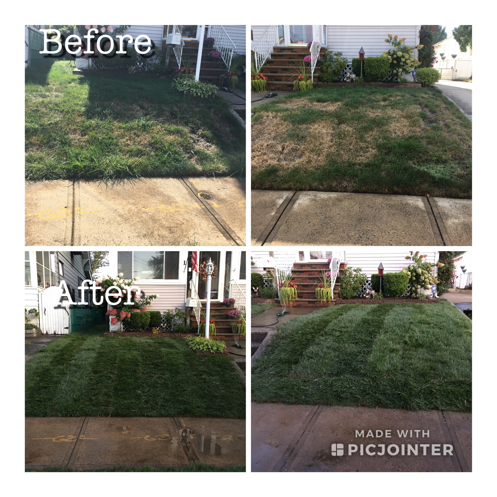 before_after_seed_sod