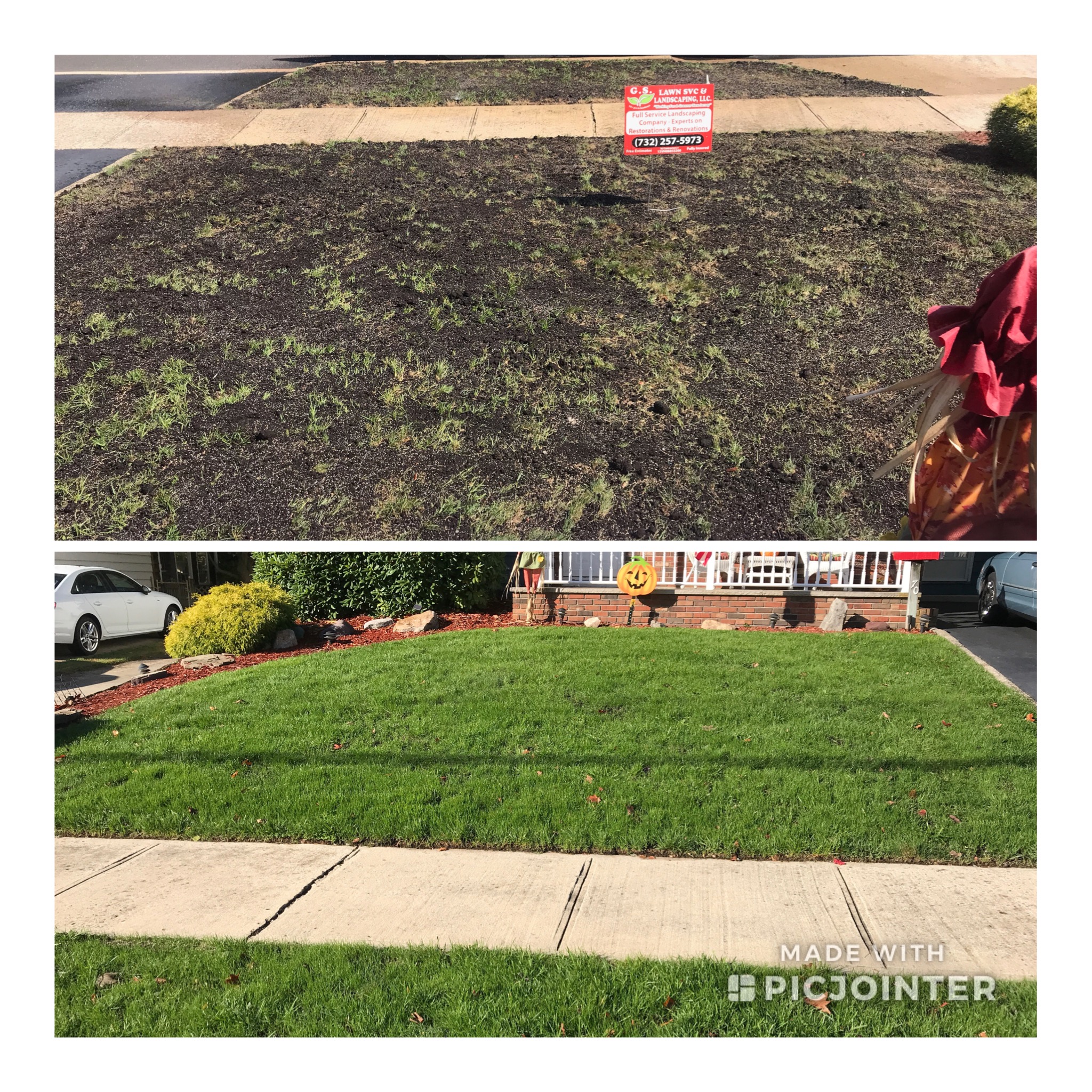 before after seed sod 1