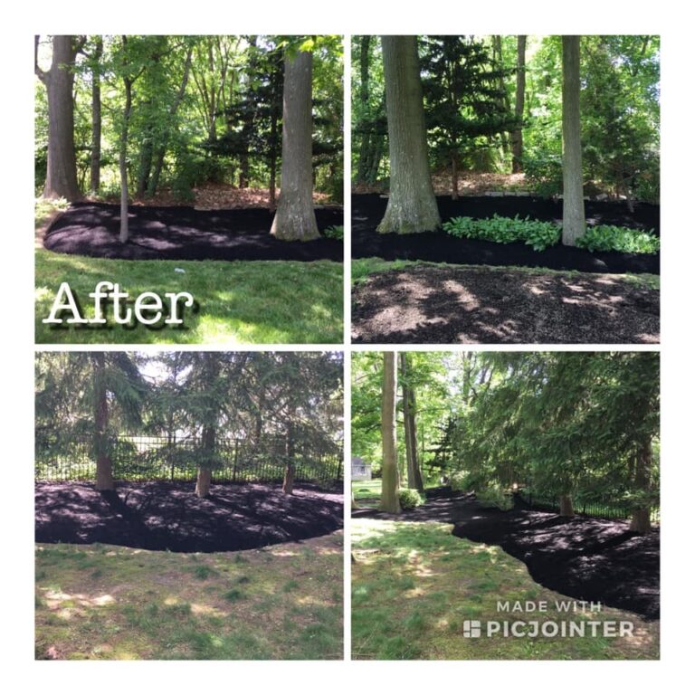 GS Lawn Mulching Before & After G.S. Lawn Svc & Landscaping, LLC